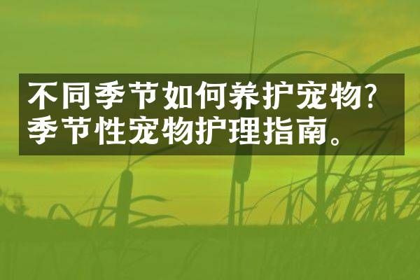 不同季节如何养护宠物？季节性宠物护理指南。