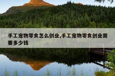手工宠物零食怎么创业,手工宠物零食创业需要多少钱