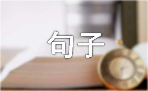 宠物暖心陪伴的句子