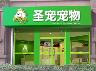 圣宠宠物