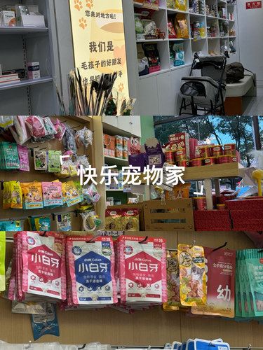 快乐宠物家