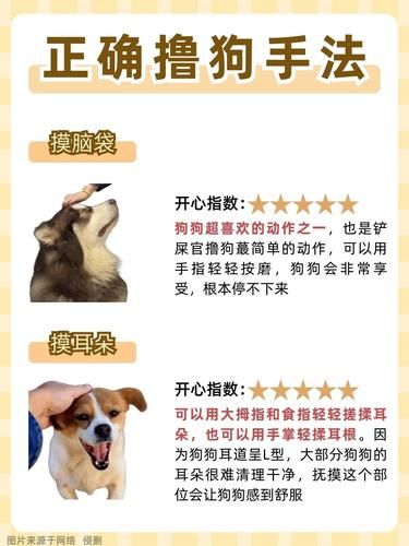 撸狗秘籍大公开！你真的撸对了吗？