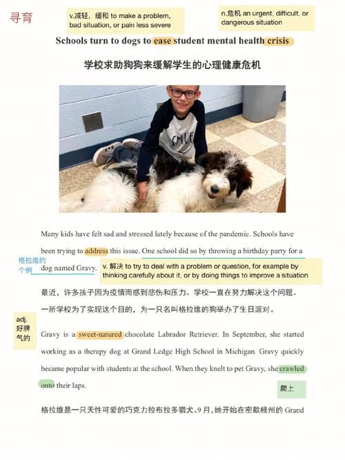 疫情居家狗狗心理辅导,疫情居家狗狗心理辅导记录
