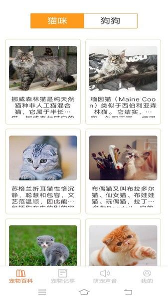 宠物多多appv1.3.6 安卓版 3