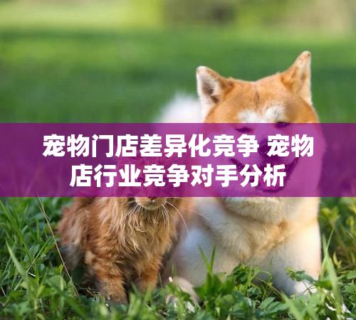 宠物门店差异化竞争 宠物店行业竞争对手分析