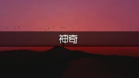 我的神奇宠物550字作文