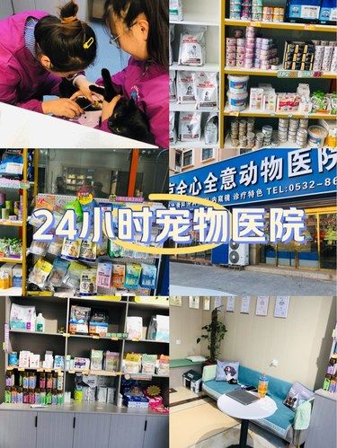 24小时服务及时救助是热点