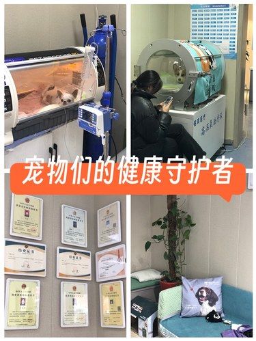 [爱心]医术超赞 医心更美~全心全意