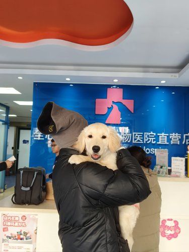 北京全心全意动物医院黄岛店