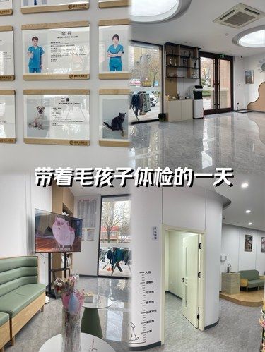安心陪诊服务，我体验了
