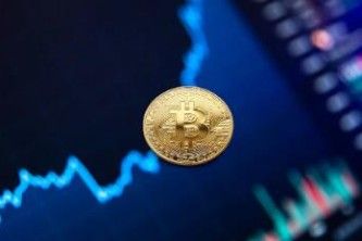 宠物狗买卖平台_宠物狗买卖平台哪家好