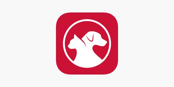 【宠物系统中的前端设计模式】：构建响应式与组件化宠物平台