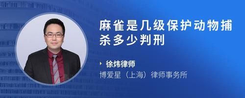 麻雀是几级保护动物捕杀多少判刑