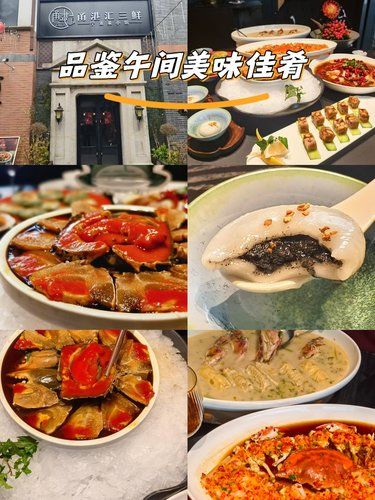 品鉴午间美味佳肴