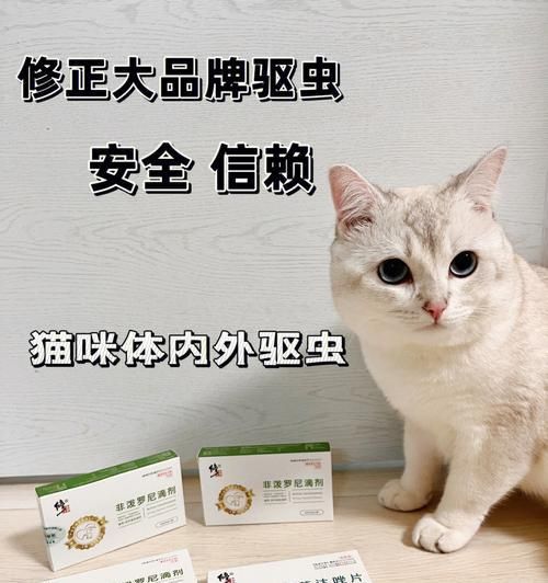 驱虫为何在打犬疫苗前更重要（宠物健康的秘诀在于防疫与驱虫）