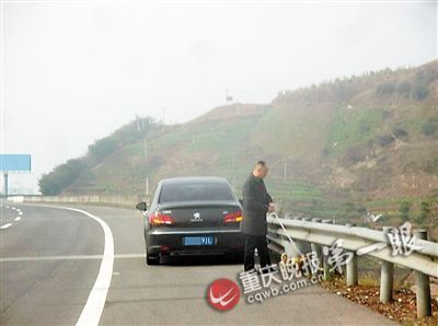男子高速停车遛狗 
