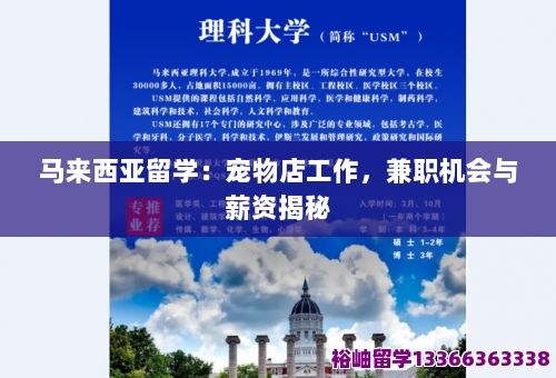 马来西亚留学：宠物店工作，兼职机会与薪资揭秘 第1张