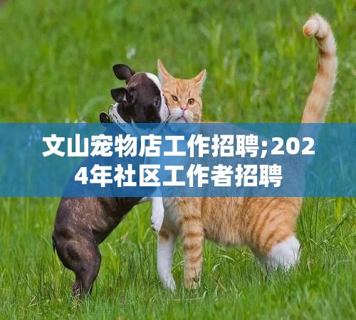 文山宠物店工作招聘;2024年社区工作者招聘