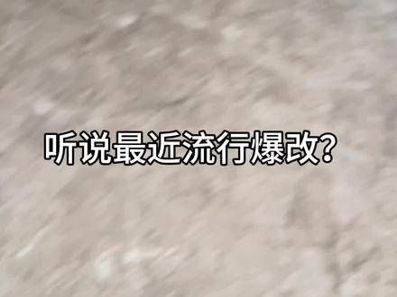 听说最近流行大胆改造 萌宠出道计划