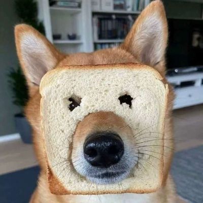 狗头
