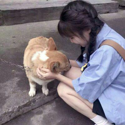 女头宠物头像大全