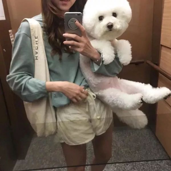 带宠物女生微信头像_图片