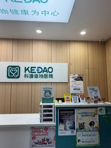 良心发现动物医院，我不允许还有人不知道！