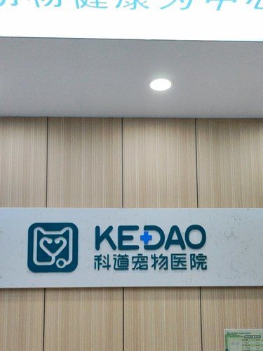 猫咪的健康守护站！