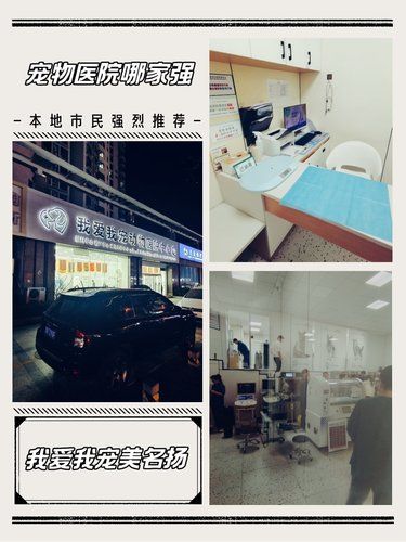 宠物医院哪家强，我爱我宠美名扬