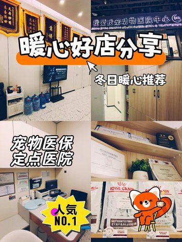 宠物医保定点医院诊疗报销超给力