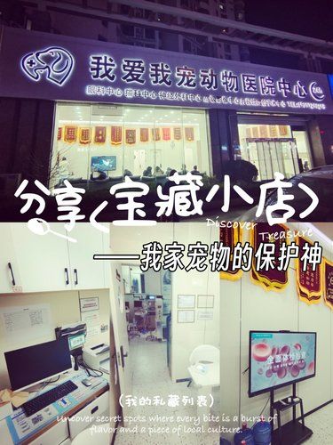 我爱我宠动物医院——我家宠物的保护神