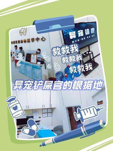 异宠铲屎官的根据地