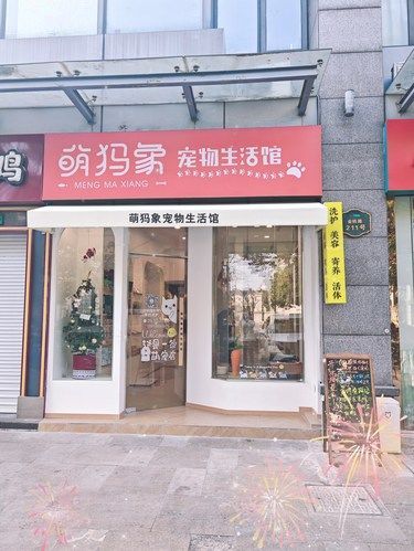 萌宠乐园，爱宠人士的天堂[礼花]