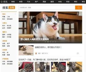 如何选择好的宠物医院？国内十大宠物医院排行榜