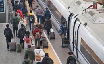 属羊人养什么宠物最好 属羊的人养什么动物旺财