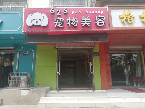 西安宠物服装店（西安有一个卖宠物一条街）