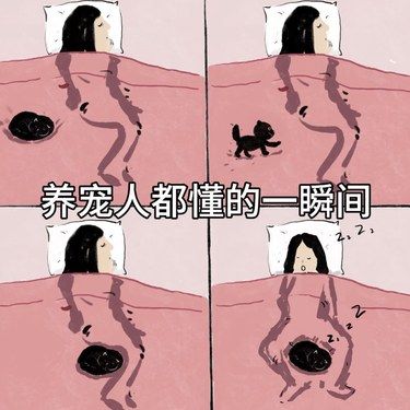 只有养宠的人才懂