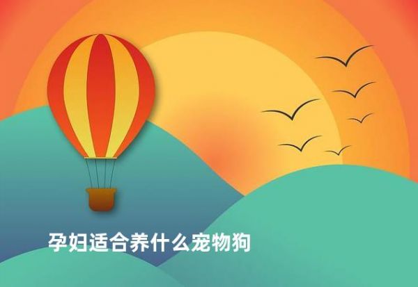 孕妇适合养什么宠物狗
