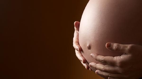 孕妇养宠物如何预防感染病毒
