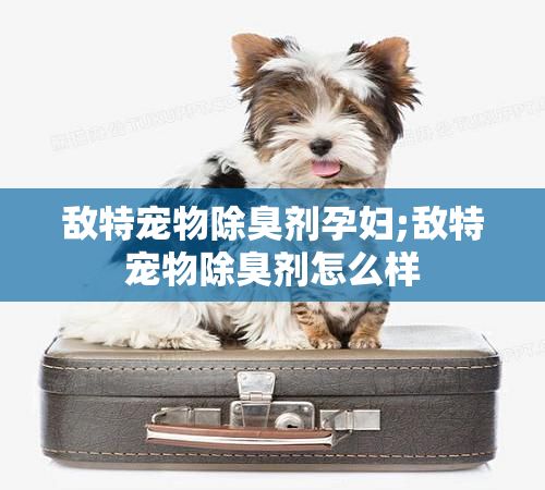 敌特宠物除臭剂孕妇;敌特宠物除臭剂怎么样