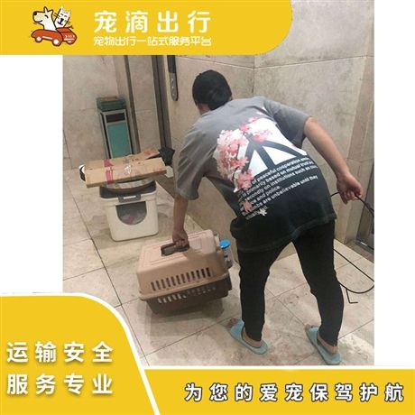 宠物托运 宠物物流服务 宠物托运服务公司 宠物托运方式 赠送玩具