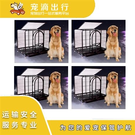 宠物托运 宠物托运费用 省内运输宠物 宠物长短途运输 安全无忧