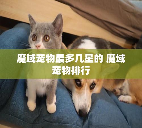 魔域宠物最多几星的 魔域宠物排行