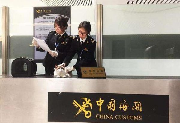 TIM截图20190301114225.jpg