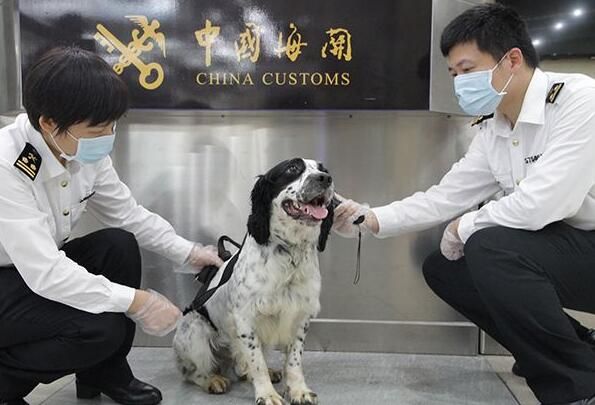 QQ截图20190508105315.jpg