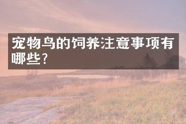 宠物鸟的饲养注意事项有哪些？