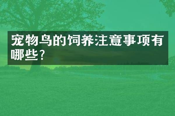 宠物鸟的饲养注意事项有哪些？