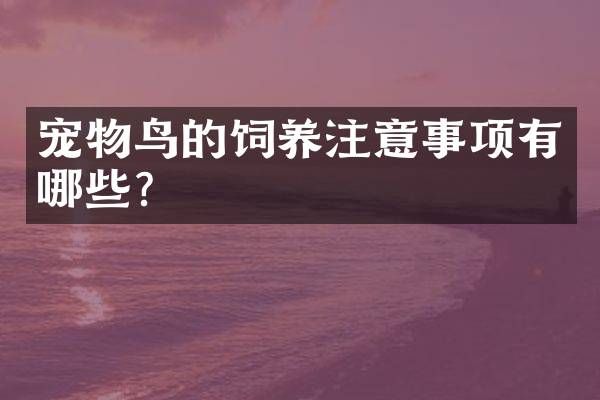 宠物鸟的饲养注意事项有哪些？