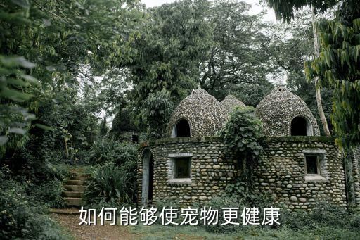 如何能够使宠物更健康