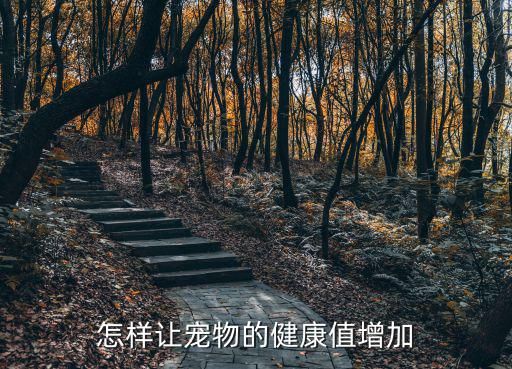 怎样让宠物的健康值增加